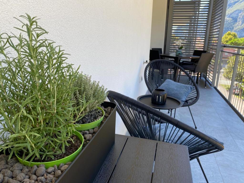 Il Mandorlo Fiorito Apartment Riva del Garda